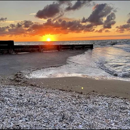 Lumineux A 5 Min De La *